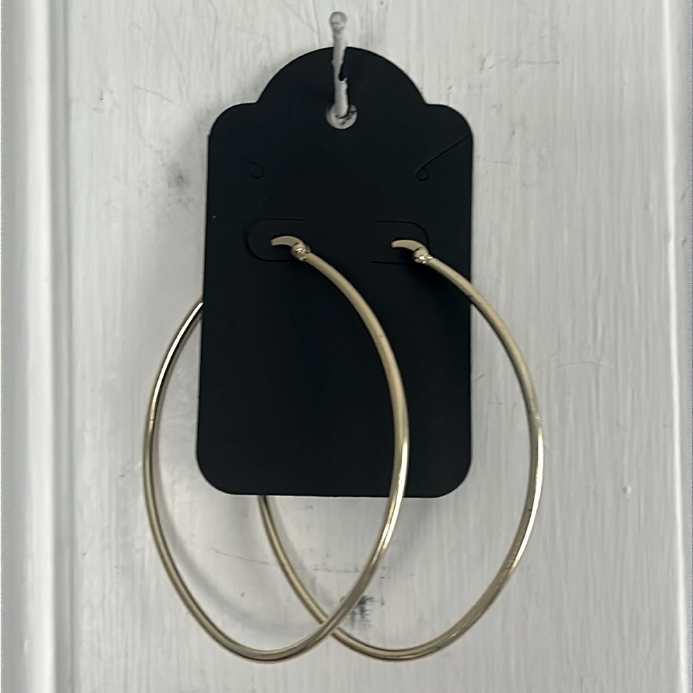 NWT oval hoop earrings